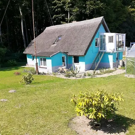 Neu! Unter Reet Am Wald Auf Ruegen Appartamento *