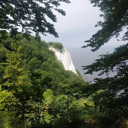 Neu! Unter Reet Am Wald Auf Ruegen Appartamento Lohme