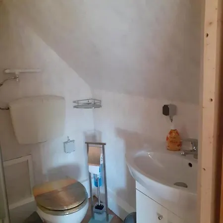 Neu! Unter Reet Am Wald Auf Ruegen * Lohme