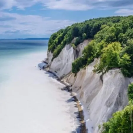 Neu! Unter Reet Am Wald Auf Ruegen *