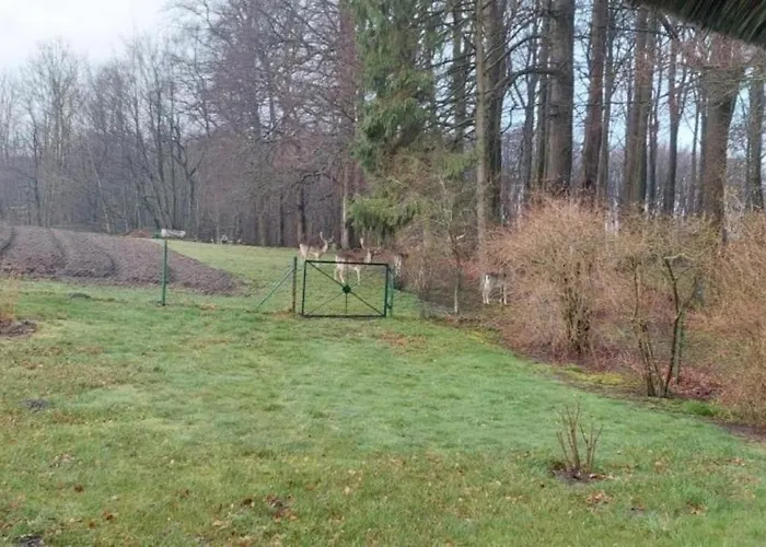 Neu! Unter Reet Am Wald Auf Rügen Apartment *